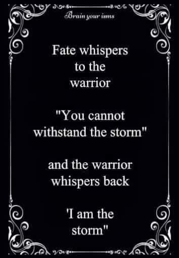 fate whispers to the warrior-i am the storm